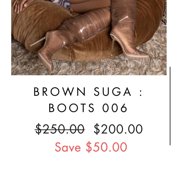 BFlyLA Knee High Brown; PVC, air holes, 4 inch gold heel and brown mesh - Picture 2 of 7